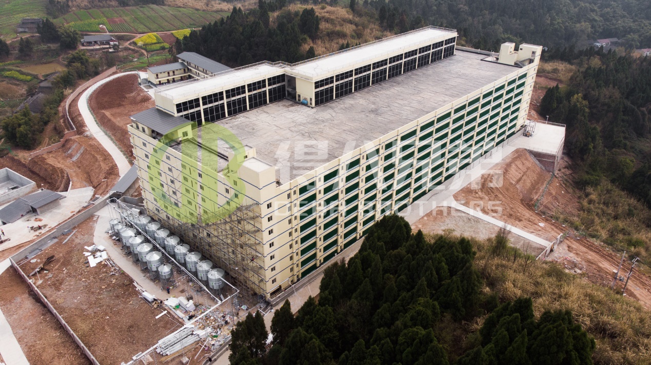 چگونه می توان کیفیت محیطی را در طراحی مزرعه خوک مدرن بهبود بخشید