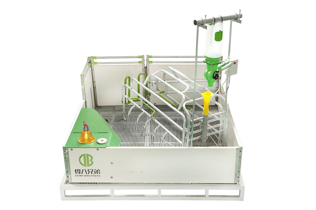 قلم پرورشی WELSAFE برای خروس های شل - بر رفاه حیوانات تمرکز کنید