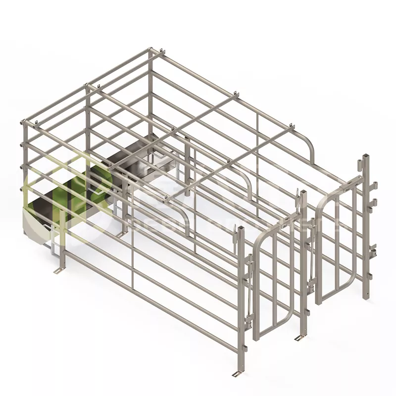 غرفه‌های بزرگ‌تر برای خوک‌های اسپانیایی با دسترسی آزاد